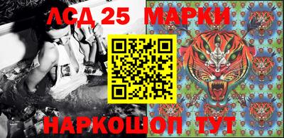 прущие грибы Новокубанск
