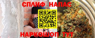 прущие грибы Новокубанск