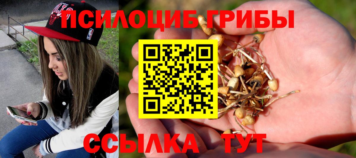 Севастополь  Псилоцибиновые грибы мицелий  Вход с VPN 