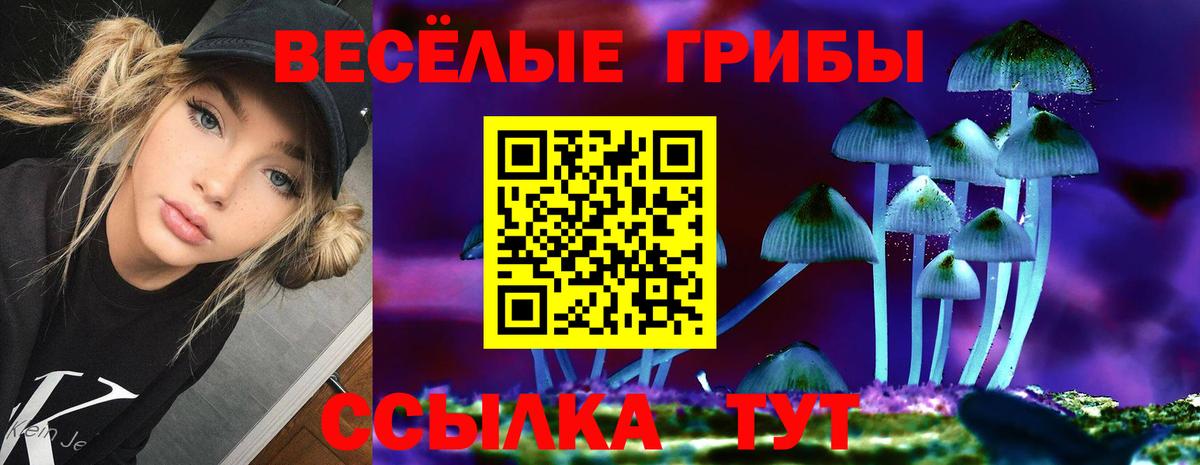 Псилоцибиновые грибы Psilocybine cubensis Севастополь
